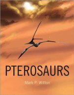 Könyv Pterosaurs Mark P Witton