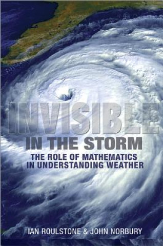 Könyv Invisible in the Storm Ian Roulstone