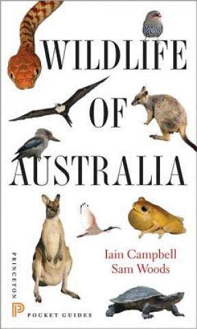 Könyv Wildlife of Australia Iain Campbell