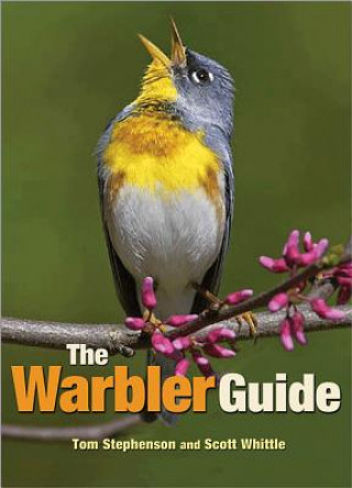 Książka Warbler Guide Tom Stephenson