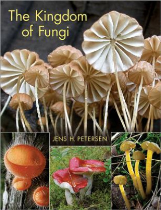 Book Kingdom of Fungi Jens H Petersen