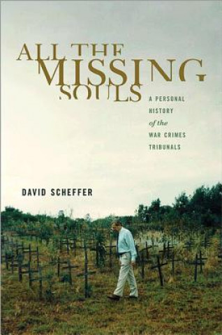 Carte All the Missing Souls David Scheffer