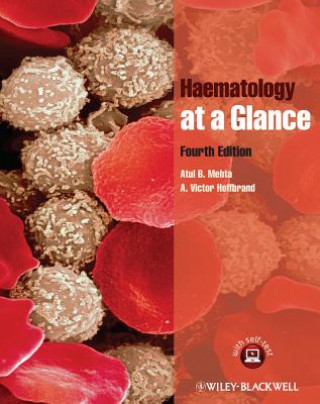 Kniha Haematology at a Glance Atul Mehta