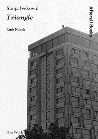 Knjiga Sanja Ivekovic Ruth Noack