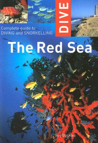 Livre Dive the Red Sea Guy Buckles