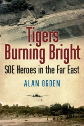 Kniha Tigers Burning Bright Alan Ogden