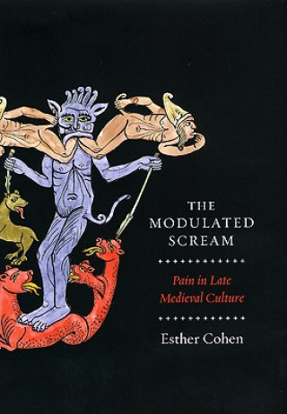 Book Modulated Scream Esther Cohen