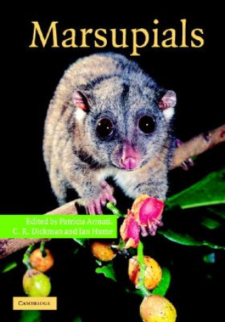 Könyv Marsupials Patricia Armati