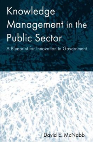 Kniha Knowledge Management in the Public Sector David E McNabb