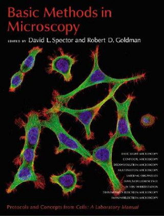 Kniha Basic Methods in Microscopy David L Spector