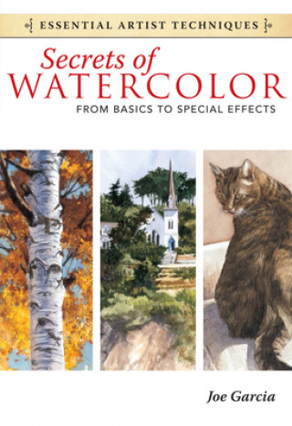 Kniha Secrets of Watercolor - From Basics to Special Effects Joe Garcia