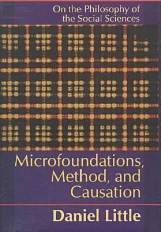 Könyv Microfoundations, Method, and Causation Daniel Little