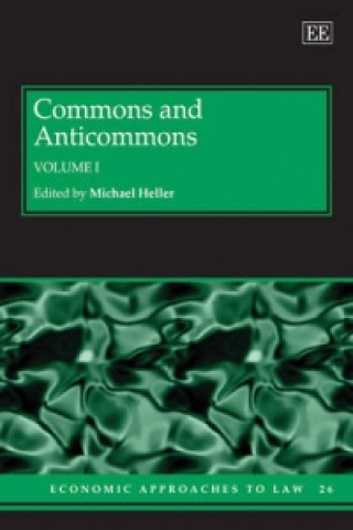 Könyv Commons and Anticommons Michael Heller