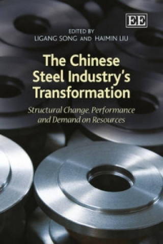 Kniha Chinese Steel Industry's Transformation Ligang Song