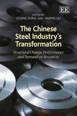 Book Chinese Steel Industry's Transformation Ligang Song