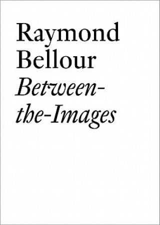 Kniha Raymond Bellour Raymond Bellour