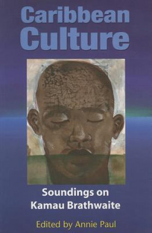 Libro Caribbean Culture Annie Paul