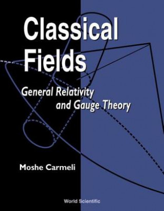 Buch Classical Fields: General Relativity And Gauge Theory Moshe Carmeli