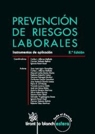 Könyv Prevencion De Riesgos Laboreles Instrum 