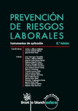 Buch Prevencion De Riesgos Laboreles Instrum 