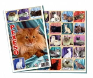 Game/Toy Pexeso 32 - Kočky neuvedený autor