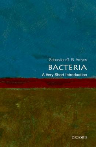 Könyv Bacteria: A Very Short Introduction Sebastian G B Amyes