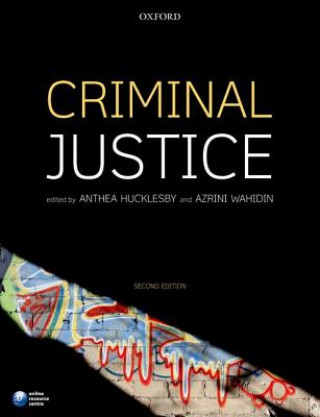 Könyv Criminal Justice Anthea Hucklesby