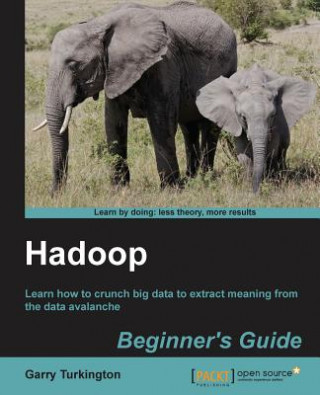 Książka Hadoop Beginner's Guide Garry Turkington