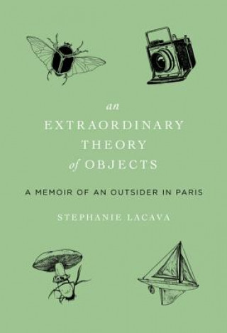 Kniha Extraordinary Theory of Objects Stephanie LaCava