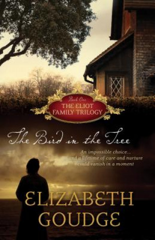 Kniha Bird in the Tree Elizabeth Goudge