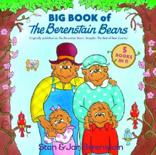 Kniha Big Book of The Berenstain Bears Stan Berenstain