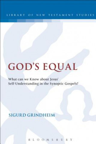 Buch God's Equal Sigurd Grindheim