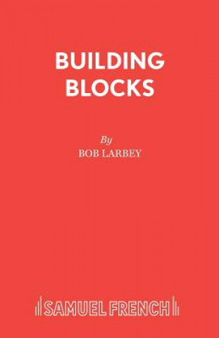 Könyv Building Blocks Bob Larbey