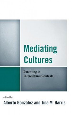 Knjiga Mediating Cultures Alberto Gonzalez