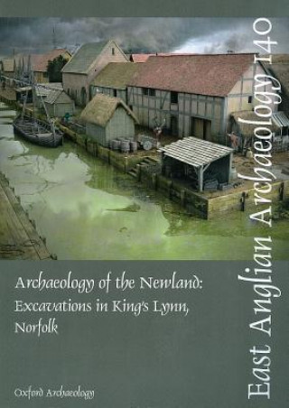 Kniha EAA 140: Archaeology of the Newland Richard Brown