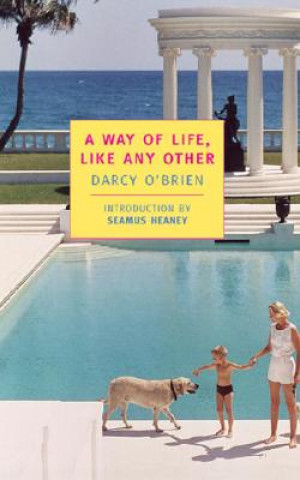 Kniha Way Of Life  Like Any Other Darcy O´Brien