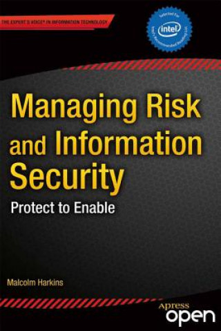 Könyv Managing Risk and Information Security Malcolm Harkins