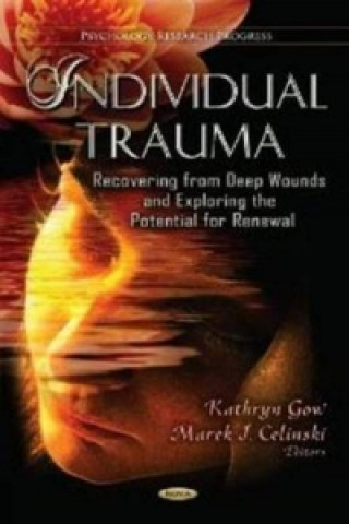 Book Individual Trauma Kathryn Gow