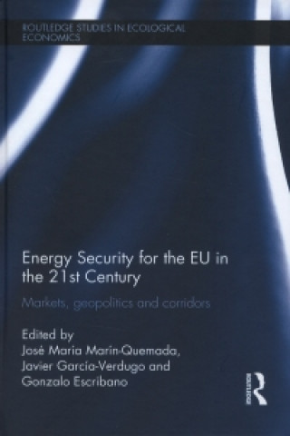 Könyv Energy Security for the EU in the 21st Century Carlos Velasco Murviedro