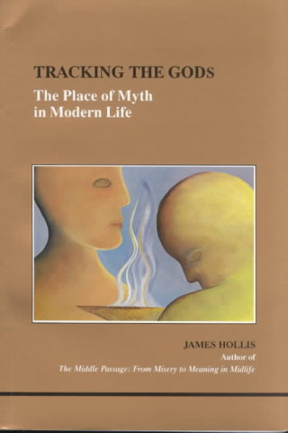 Boek Tracking the Gods James Hollis