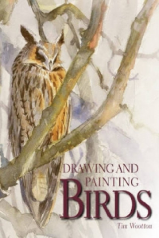 Книга Drawing and Painting Birds Tim Wootton