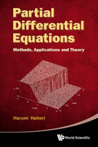 Kniha Partial Differential Equations Harumi Hattori