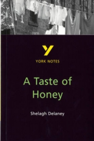 Kniha Taste of Honey Bernadette ayer