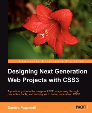 Könyv Designing Next Generation Web Projects with CSS3 Sandro Paganotti
