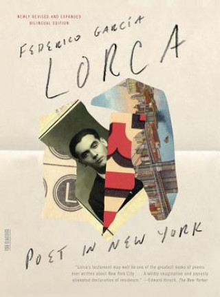 Книга Poet in New York Federico García Lorca