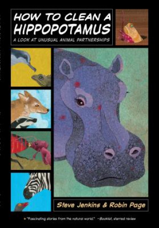 Kniha How to Clean a Hippopotamus Steve Jenkins