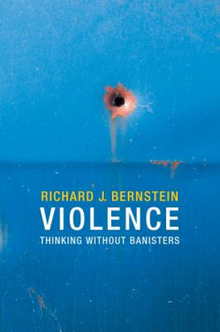 Boek Violence Richard J Bernstein