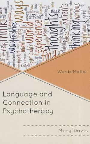 Carte Language and Connection in Psychotherapy Mary E Davis