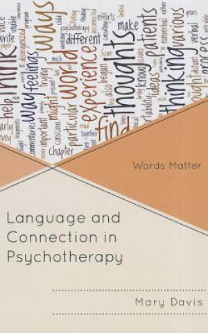 Książka Language and Connection in Psychotherapy Mary E Davis