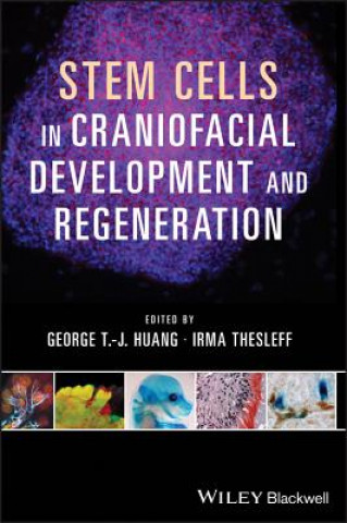 Kniha Stem Cells in Craniofacial Development and Regeneration George TJ Huang